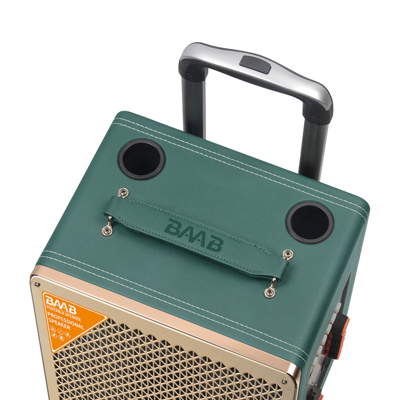 Zvucnik bluetooth NDR BB-8608 60W 8 inca sa dva mikrofona
